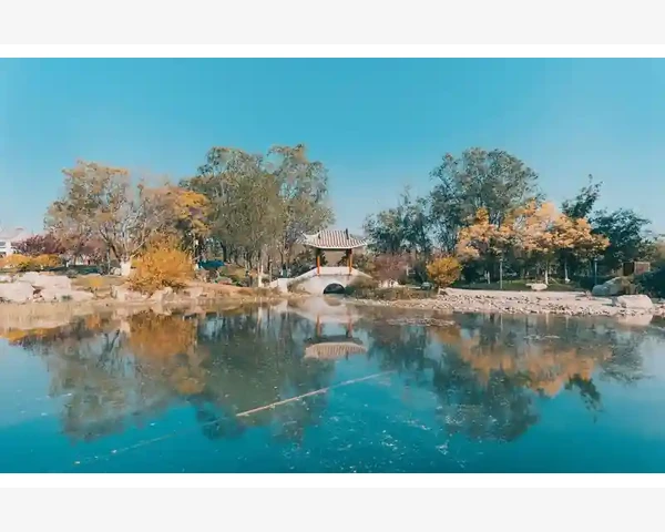 脾虚湿困：中医调理的秘诀